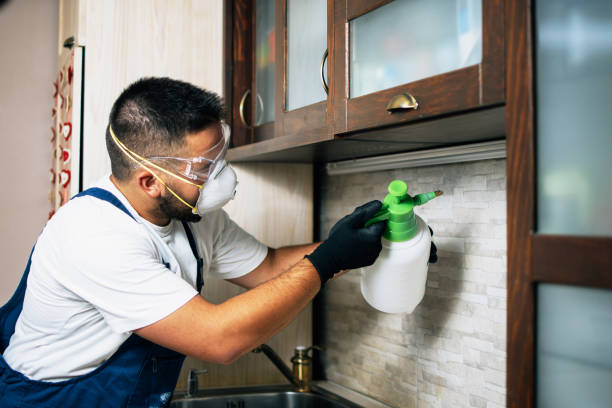 Best Pest Inspection Near Me  in Union Hill Novelty Hill, WA