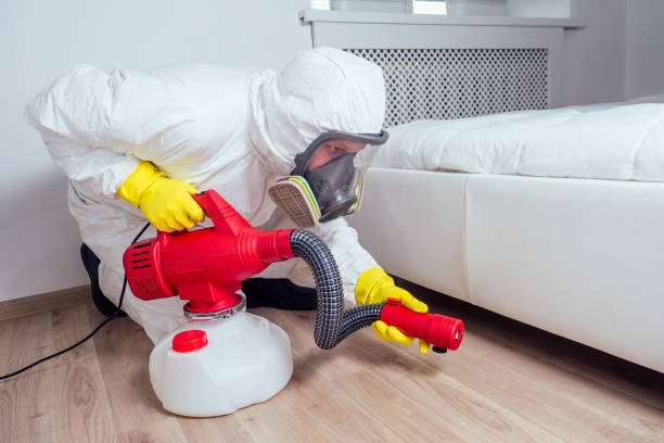 Best Mosquito Control Services  in Union Hill Novelty Hill, WA