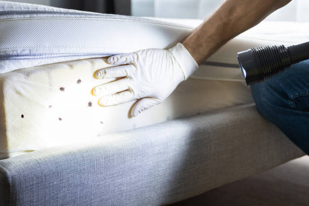 Best Best Pest Control Companies  in Union Hill Novelty Hill, WA